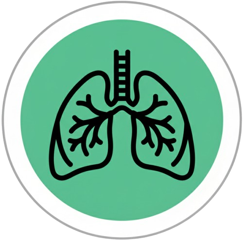 icone fisiolar respiratoria